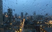 Погода в Тульской области 10 октября: дождь, порывистый ветер и до +11