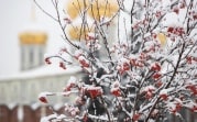 Погода в Туле 15 декабря: до -5 градусов и небольшой снег