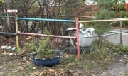 За клумбы и поделки из шин тулякам может грозить штраф