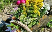 Убийство школьницы в Тульской области: что известно на данный момент