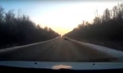 Дикий кабан мог стать причиной аварии под Богородицком