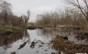 Прокуратура заинтересовалась утонувшей в грязи узловской деревней