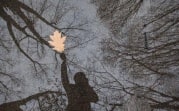 Погода 28 сентября в Тульской области: холодает, небольшой дождь и ветер