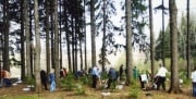 В Ясной Поляне открывается волонтерский сезон