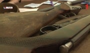 В Тульской области охотникам разрешили добыть 140 благородных оленей
