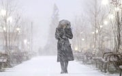 Погода в Тульской области 21 февраля: метель, порывистый ветер и легкий мороз