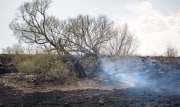 Во всех районах Тульской области установлен третий класс пожароопасности