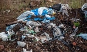 В Богородицке обнаружено несколько незаконных свалок