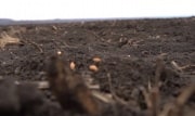 В Тульской области предпринимателя оштрафовали за авиационную обработку полей пестицидами