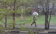 Центральную Россию ждет дождливая и теплая неделя