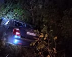 В Богородицком районе водитель Geely погиб, сбив лося на трассе