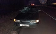 В Узловой женщина на «Ладе» насмерть сбила пешехода