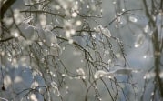 Погода в Тульской области 26 февраля: мокрый снег, до +5 и низкое давление