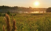 Погода в Тульской области 25 июля: сухо, тепло, умеренный ветер