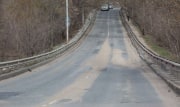 В Тульской области навигаторы будут предупреждать водителей о диких животных
