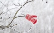Из-за сильных морозов более 31 тысячи учеников не пошли в школу