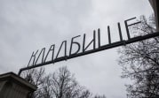 В Тульской области закрыли кладбища для посещения