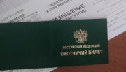 Тульские охотники могут получить разрешение на добычу кабана