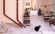 Погода в Туле 2 марта: оттепель и небольшой снег