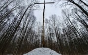 В Тульском лесу нашли загадочную поляну с крестами и зеркалами
