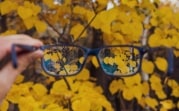 Погода в Тульской области 14 октября: облачно, до +20 и без осадков