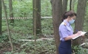В лесу под Богородицком нашли привязанный скотчем к дереву труп мужчины