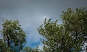 В Тульской области объявлен желтый уровень погодной опасности