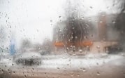 Погода в Тульской области 23 января: снег с дождём и потепление