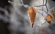 Погода в Тульской области 16 ноября: сухо, до +6, переменная облачность