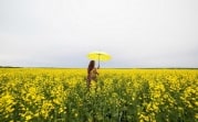 Погода в Тульской области  на 9 июня: адская жара, возможны грозы