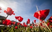 На Центральную Россию надвигается весеннее тепло