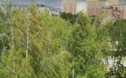 В Тульской области объявлен желтый уровень опасности из-за сильного ветра