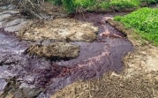 Директор мясокомбината в Донском рассказал, как в пруду оказались кровавые стоки