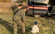 Пропала девочка: следователи проверили квартиры и более 700 дач в Богородицке