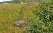 Четыре человека пострадали в ДТП в Кимовском районе
