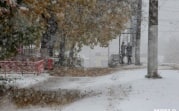 В начале ноября в регион придут морозы и выпадет снег