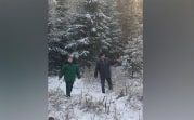 Перед Новым годом в Тульской области начали патрулировать леса