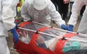 В Тульской области 90 новых случаев COVID-19