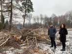 Урванский лес: кто и зачем рубит деревья под Новомосковском