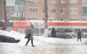 Погода в Тульской области 22 февраля: облачно и снег