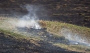 В 3 районах Тульской области объявлен 4 класс пожароопасности