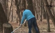 12 сентября в Тульской области состоится региональный субботник