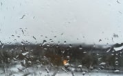 Погода в Туле 23 февраля: небольшие осадки, ветер и до +3