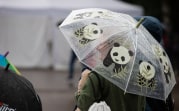 Метеопредупреждение: в Тульской области грозы, град и сильный ветер