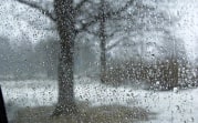 Погода в Тульской области 3 марта: дождливо, ветрено и до +7 градусов