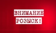 В Кимовске двое мужчин ушли в лес и не вернулись