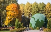 В начале октября в регион на несколько дней вернется бабье лето