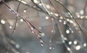 Первые весенние выходные в Туле будут облачными и снежными