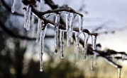Погода в Тульской области 4 декабря: облачно, без осадков, до +2 градусов