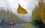 Погода в Тульской области 5 сентября: дождливо и прохладно